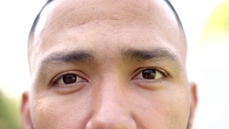 portrait close up of brown eyes of happy african american man smiling in sunny garden, slow motion