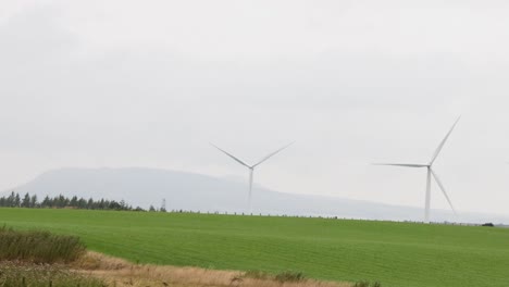 wind turbines rotating in a green field