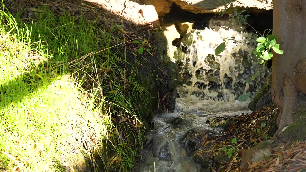 Water cascades through lush green forest