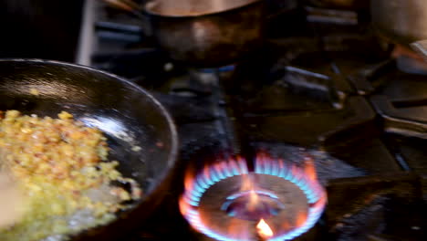 Comida,-Llama-Refugiado-Ajo,-Cocinando