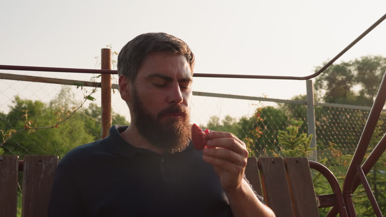golden sun rays illuminate man seated on swing bench observing juicy strawberry held over rustic garden while warm sunlight creates glowing halo around silhouette in serene country orchard