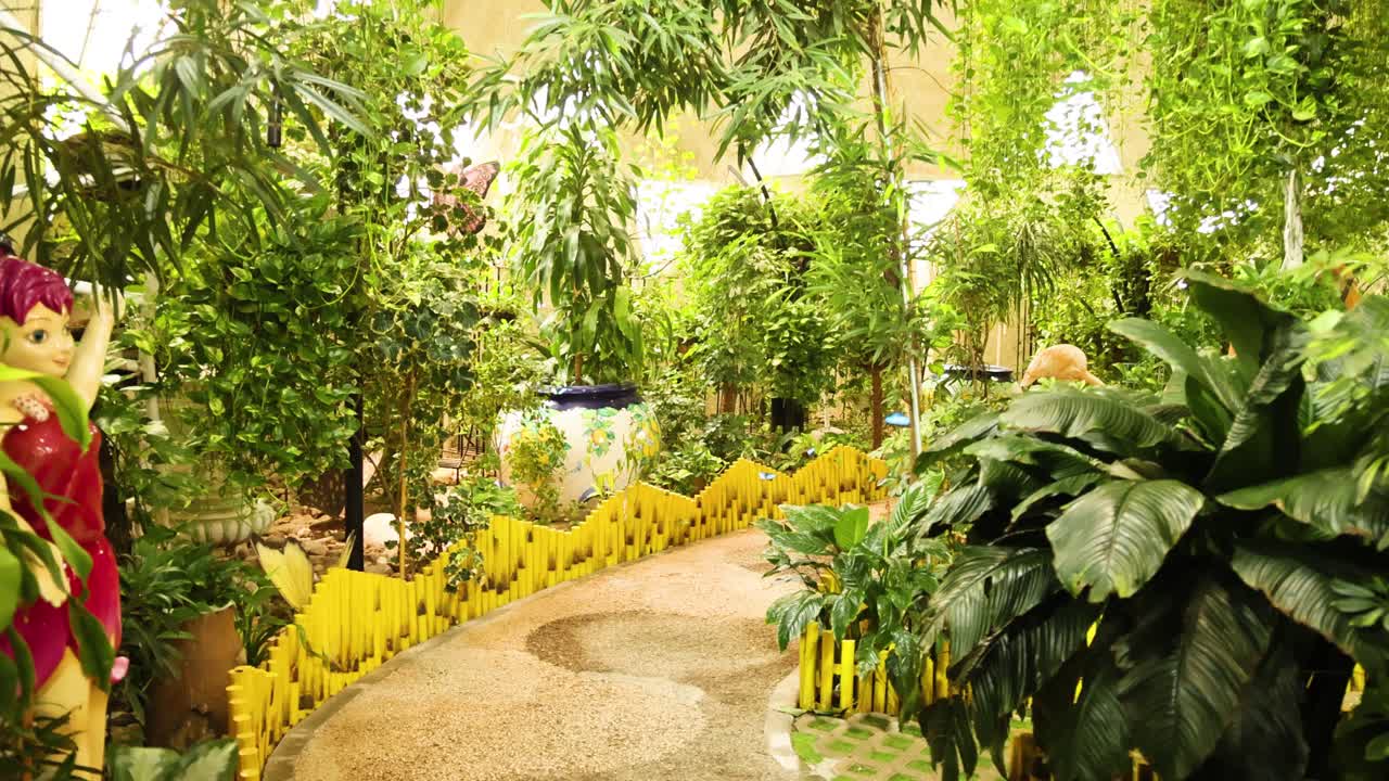 sendero escénico del jardín con vegetación exuberante y mariposas