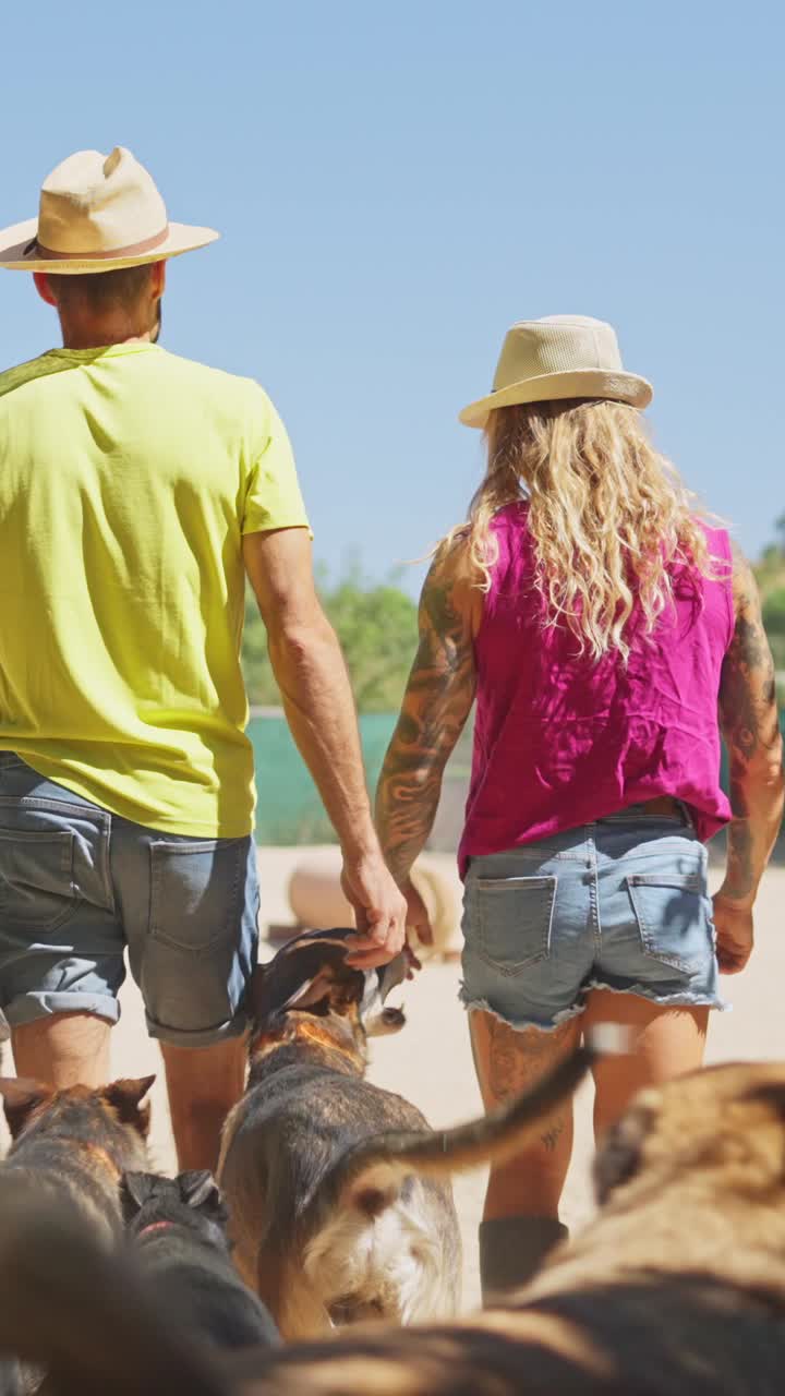 Coppia che si tiene per mano e porta a spasso i cani in una giornata di sole