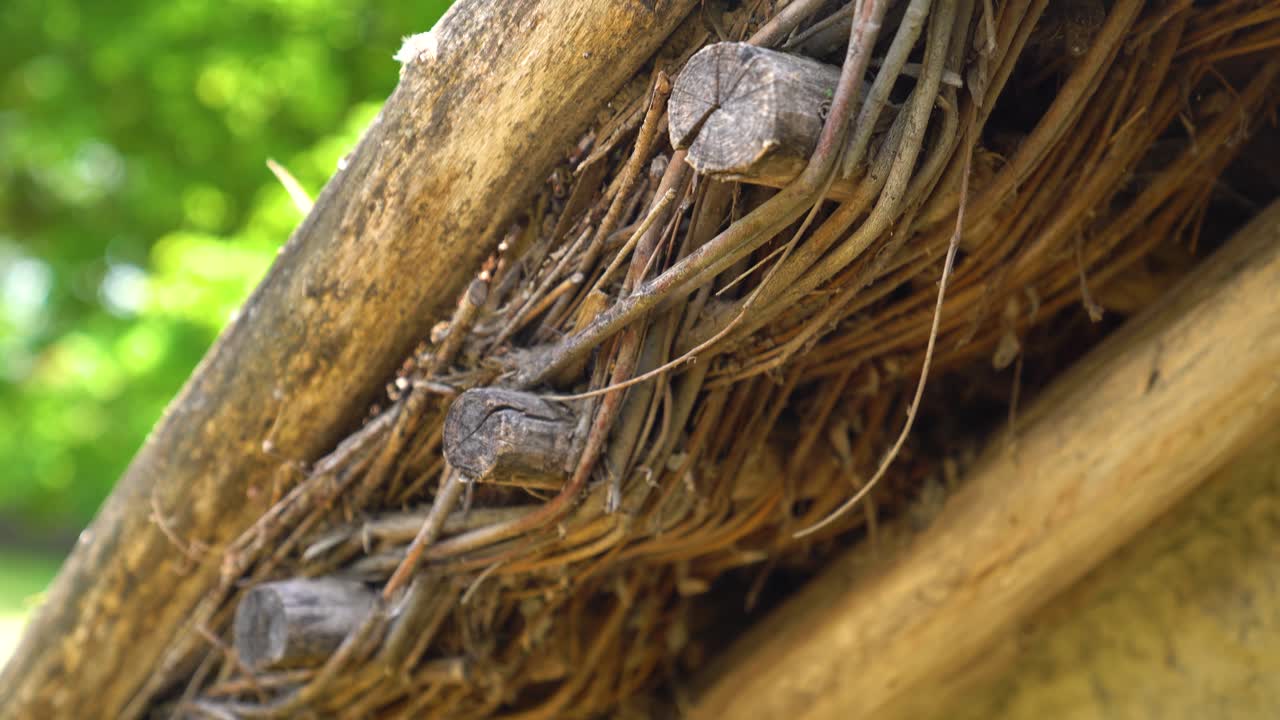 Close-up of overlapping branches and timber joints in the structure of a thatched roof edge
