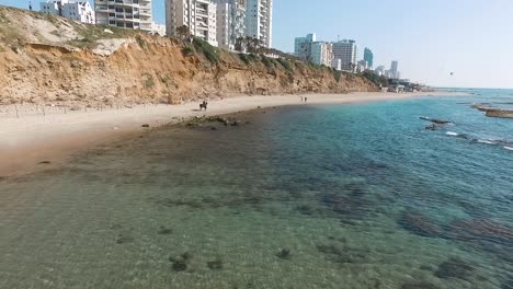 caballo en la playa. vídeo aéreo. full hd