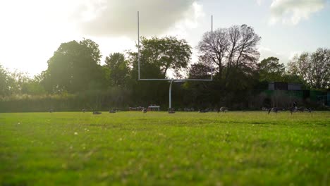 Campo-De-Rugby-Y-Fútbol-Vacío-Al-Atardecer,-En-Un-Estadio-Abandonado-Invadido-Por-Vida-Silvestre,-Patos-Y-Gansos