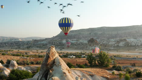 在goreme cappadocia的热气球的卡车拍摄,前景是飞翔的<unk>鸟