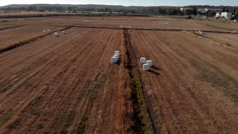 Following-lines-through-a-harvested-hay-field-with-white-plastic-bales,-aerial-drone