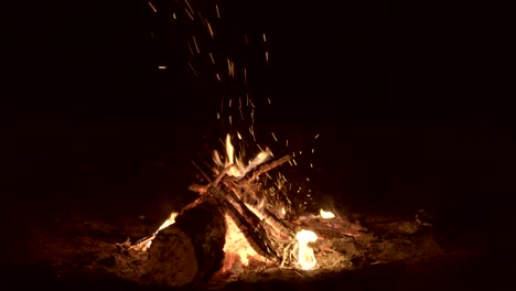campfire, black background, night.