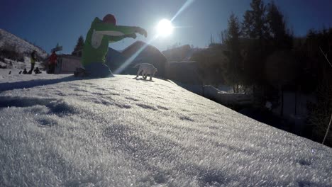 4k definition : man plays with little bull terrier puppy in the snowdrift