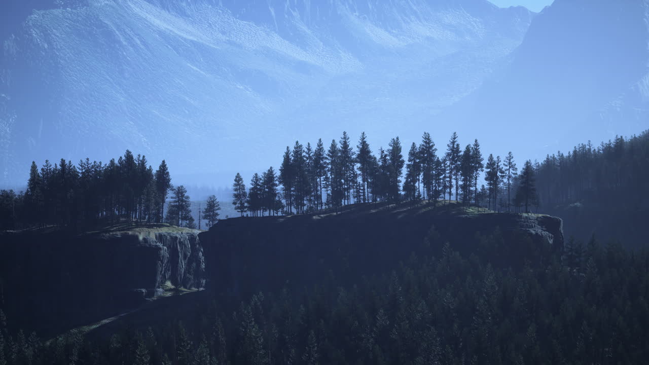 bosques de pinos en la base de la montaña en un día soleado de verano