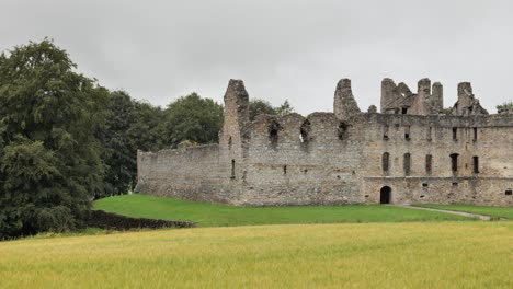 Panning with yellow landscape of medieval Balvenie Castle near Dufftown in Scotland, United Kingdom
