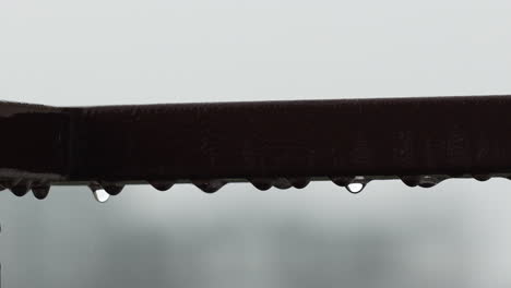 macro shot of rain drops hanging from abstract metal pole with bokeh background