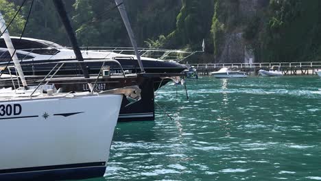 luxury yachts moored at a lake