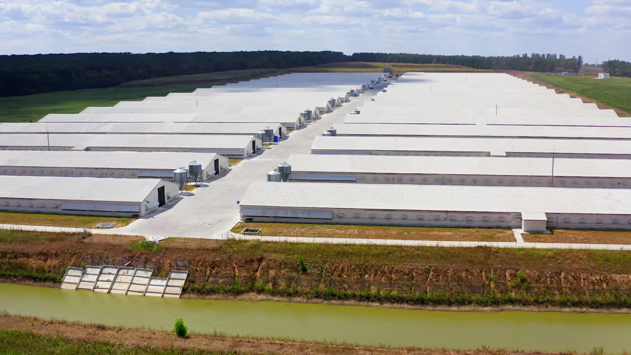 Panoramic view of a modern farm on field. White buildings of a modern farm in bright summer day. View from the air on agricultural complex in nature.