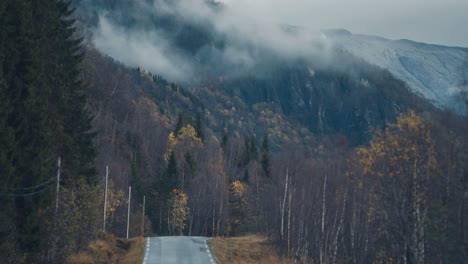 a narrow road goes through the autumn landscape