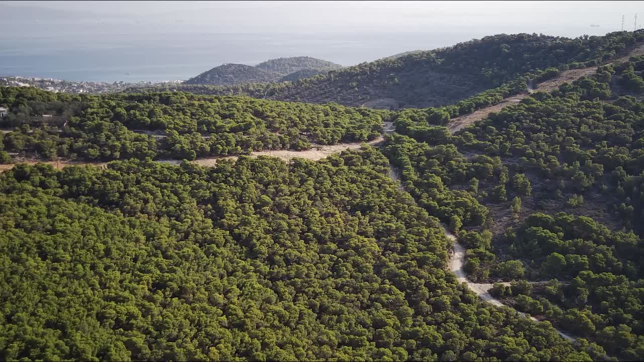 Foresta 2K di Agia Marina di Egina, clip 1920 x 1080