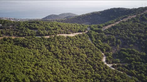 2k forest agia marina of aigina clip 1920 x 1080