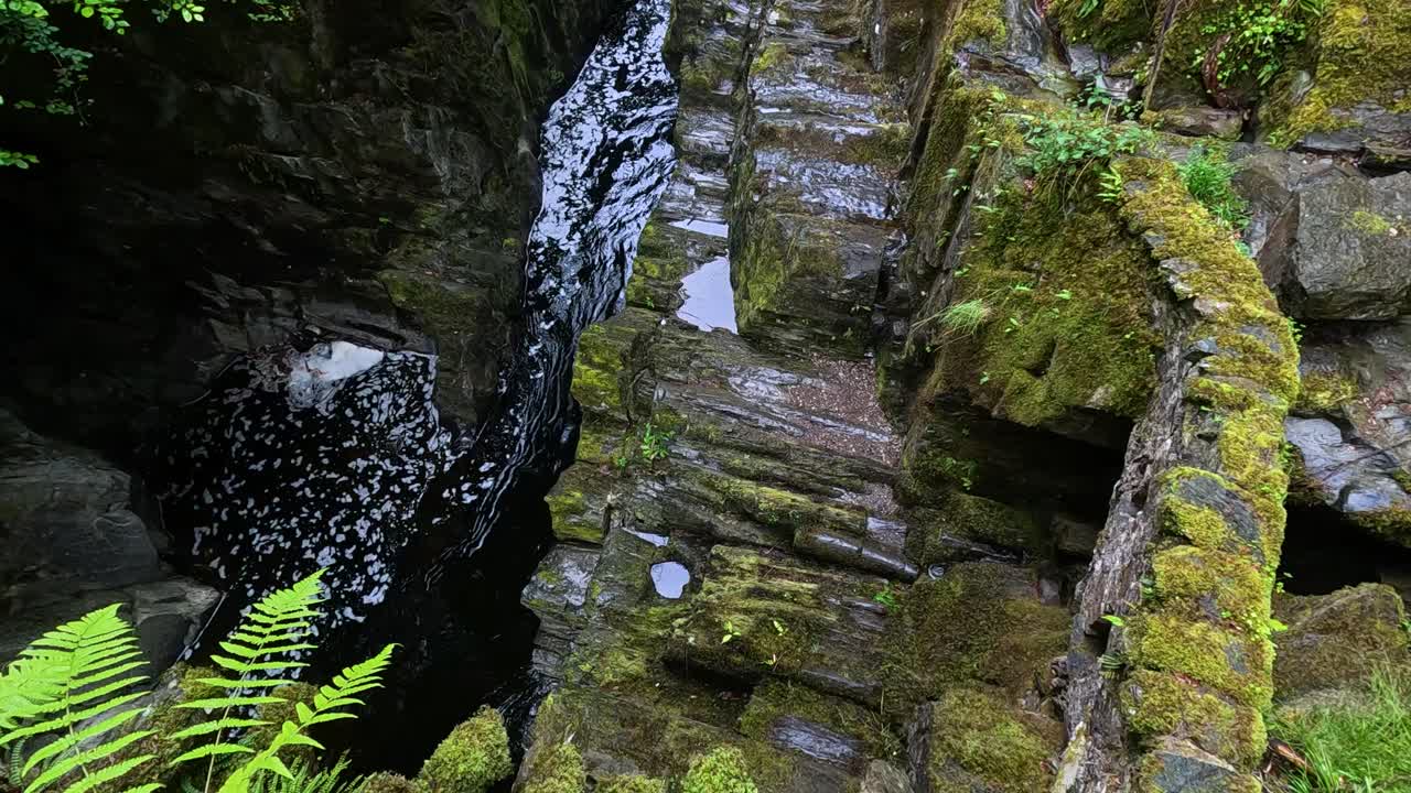 rocas de musgo y cascadas en un bosque exuberante