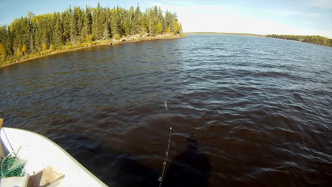 northern pike bites on suick lure