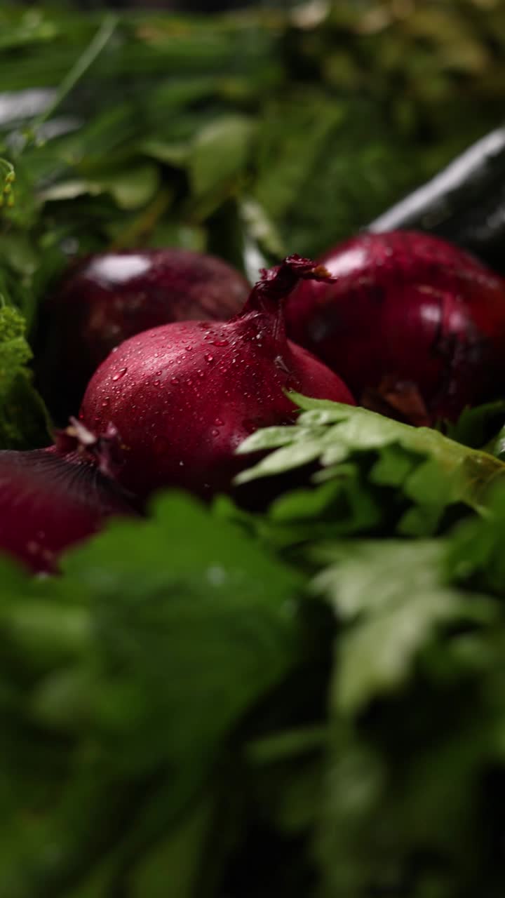 Close-up of Fresh Red Onions with Water Drops and Herbs