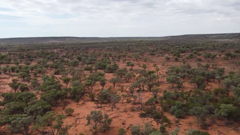 aerial view of a very remote area in the australian outback