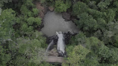 una cascada sobre un bosque exuberante