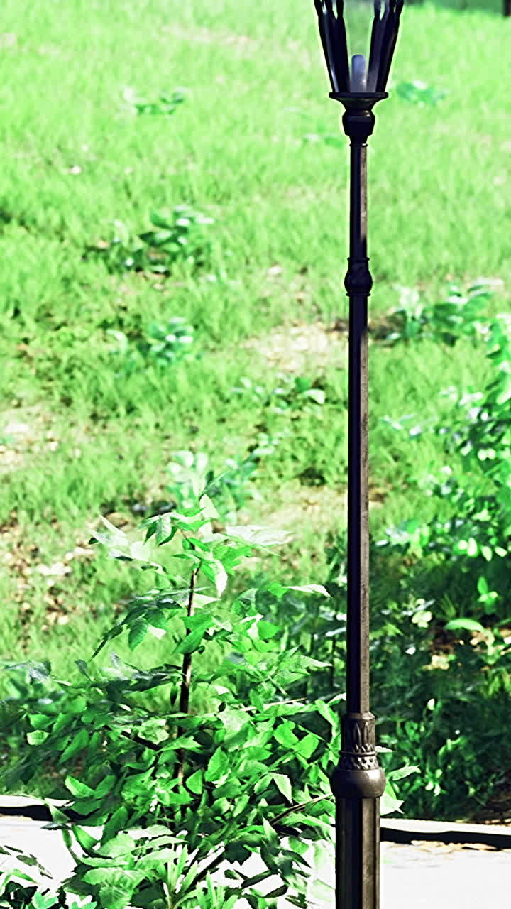 Vibrant park scenery showing greenery paths and lampposts in bright sunlight