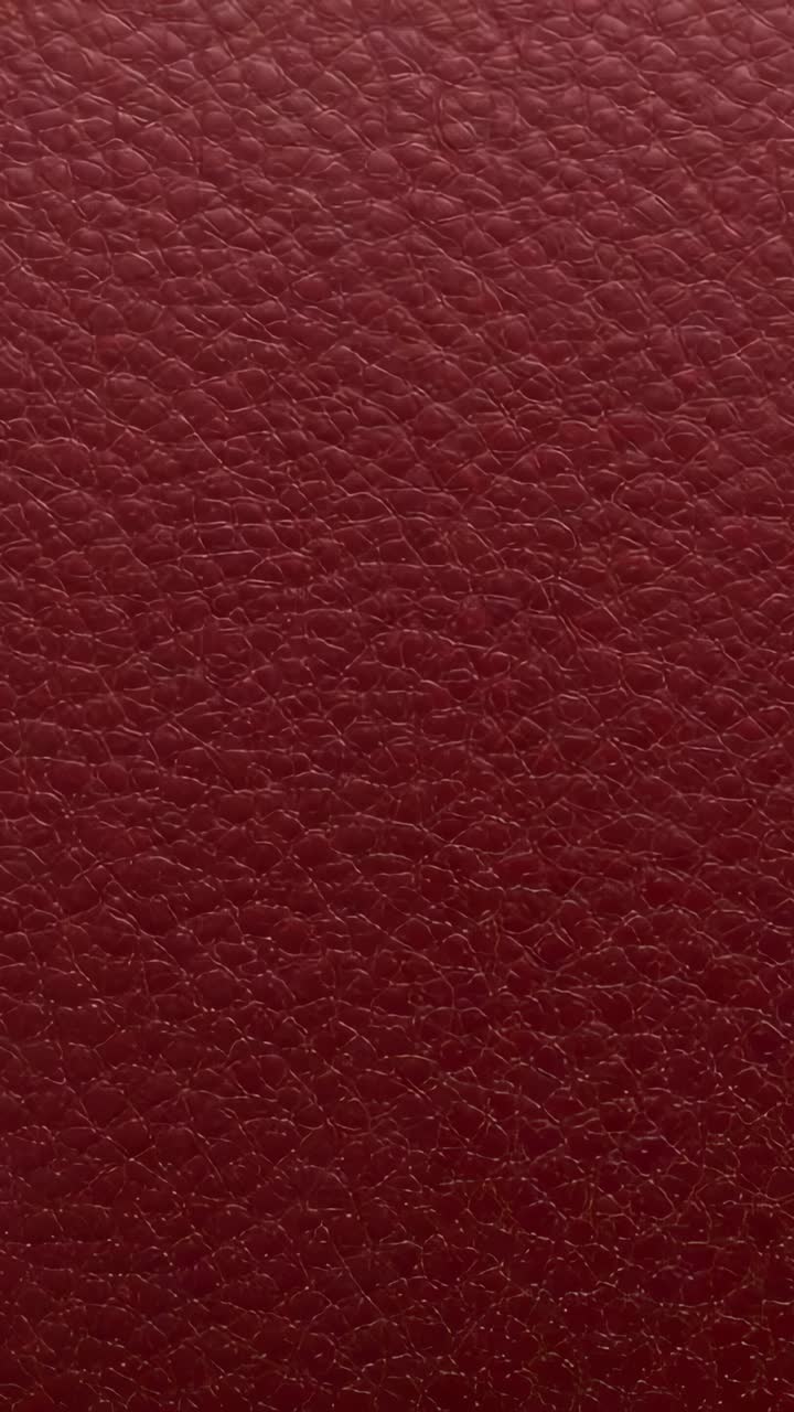 Vertical video: Recording starting camera filming burgundy leather macro showing pebble grain