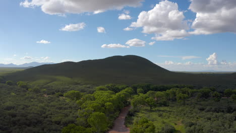 área recreativa de pastizales verdes de sierra vista, drone adelante