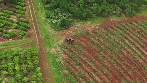 Drohnen-Luftaufnahme-Von-Traktorausrüstung,-Maschinen,-Landwirtschaft,-Anbau,-Nutzpflanzen,-Plantage,-Landwirtschaft,-Industrie-Auf-Dem-Bauernhof,-Santa-María-Misiones,-Argentinien,-Südamerika,-4k