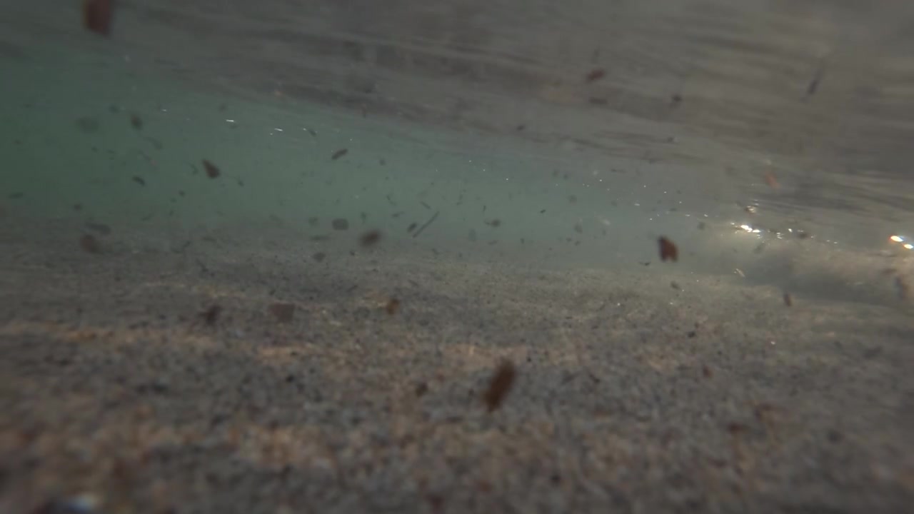 Particelle e detriti che galleggiano in acqua torbida sopra un fondale sabbioso, catturando un ambiente sottomarino astratto.