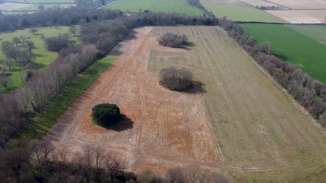 Large-bushes-in-the-British-countryside-from-4k-Drone