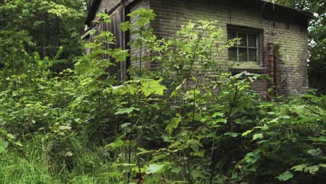 abandoned brick building overgrown with vegetation