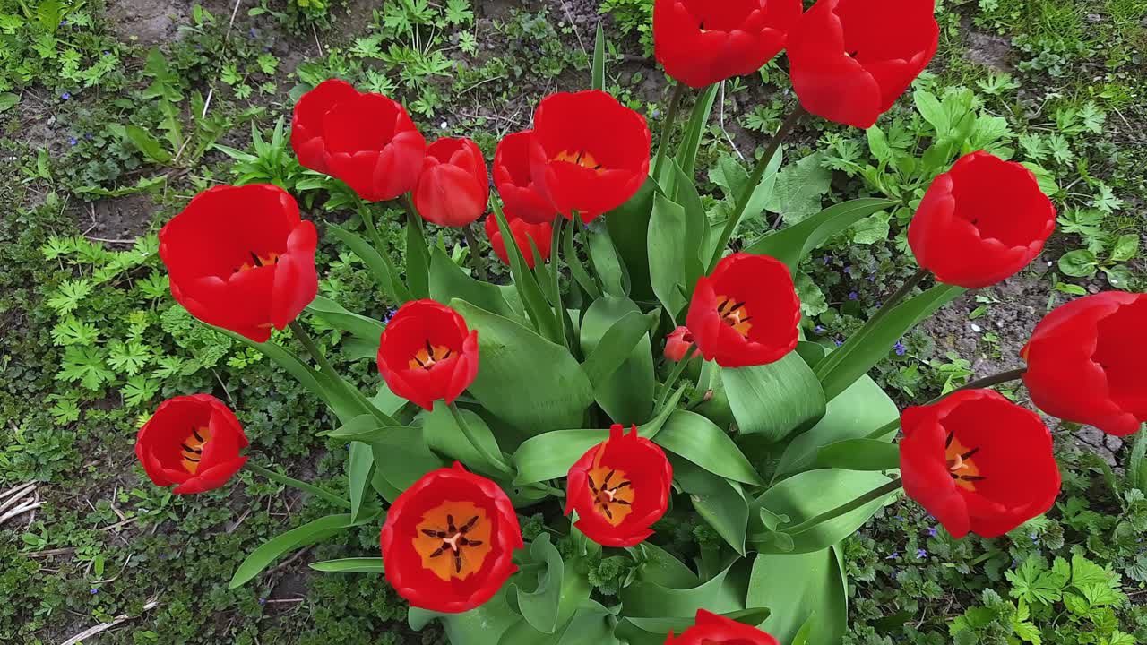 바람이 불고 구름이 가득한 날씨 에 은 립 의 면