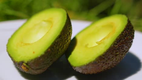 side view of fresh avocado cut in half on white plate under natural sunlight outside. healthy organic fruit vegetable food. eaten at breakfast or used in sauces. high in gut-friendly unsaturated fats