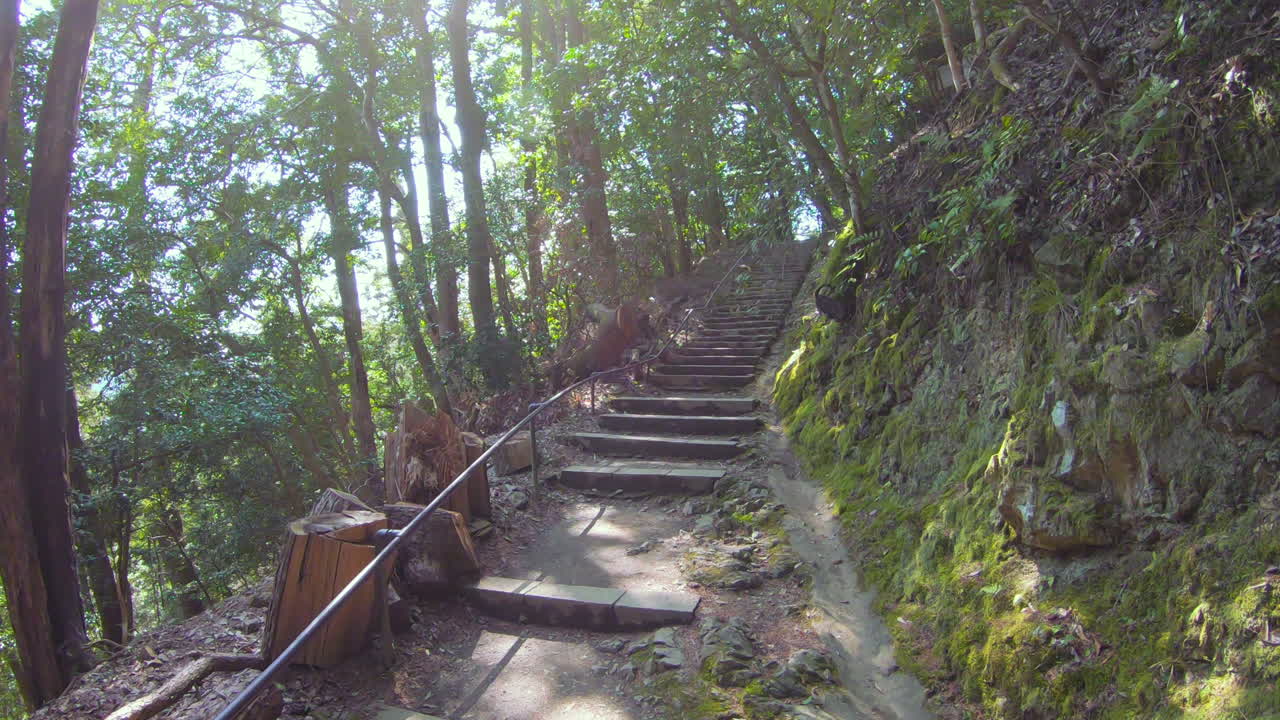 un camino en las montañas japonesas