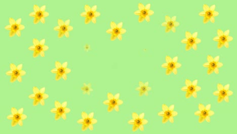 animation of blue and yellow flowers on green background