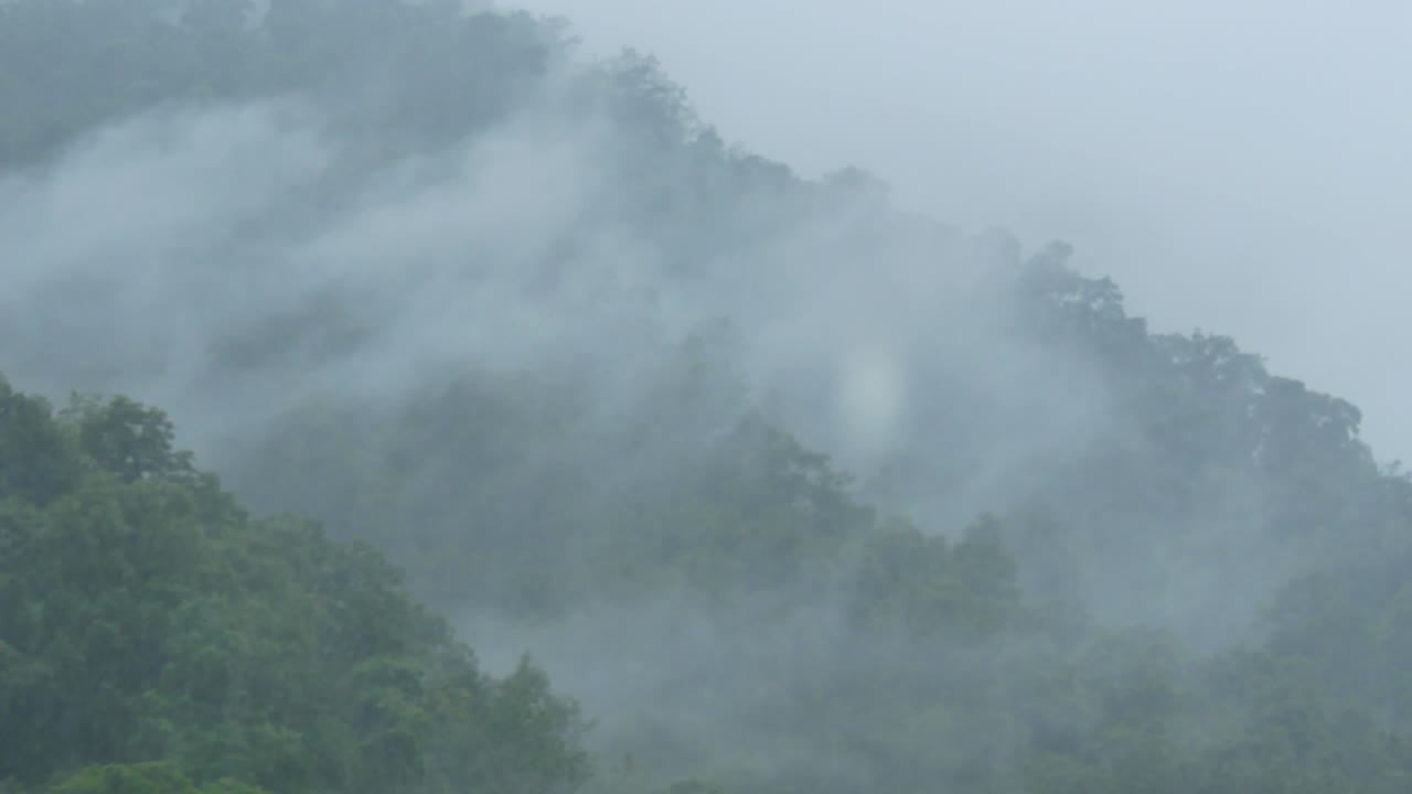 살윈 강의 열대우림