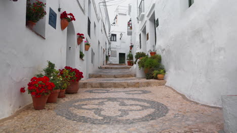 whitewashed alleyway in southern spain with stone stairs and flowers