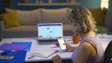 Mujer-Comprando-Productos-En-Línea-Desde-El-Teléfono.-Comercio-Electrónico.