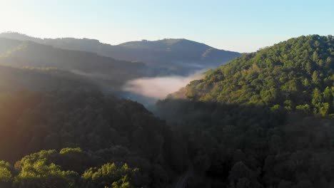 4k drone video flying above trees along mountain road in smoky mountains near asheville, nc on foggy morning