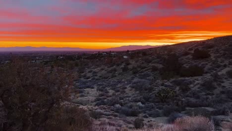 Desertous-sunrise-with-a-bright-orange-sky-and-Joshua-trees-in-the-sunrise-background