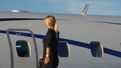 a playful flight attendant walks on the wing of an aircraft