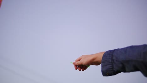 close up view of woman's hand holding colorful kite in the evening. colorful kite in the sky on the background. slow motion shot