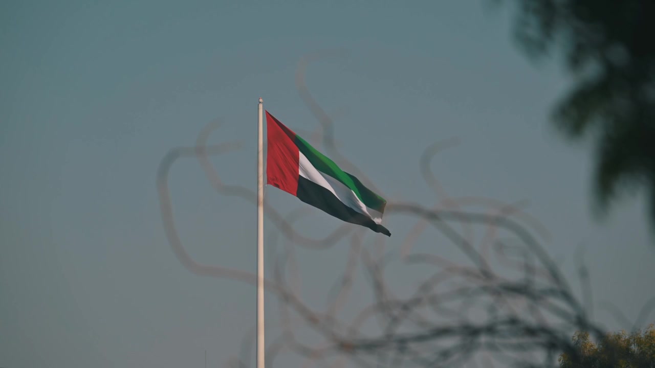 UAE flag flying above verdant greenery under a clear sky.