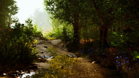 old wooden fence and hiking path through forest