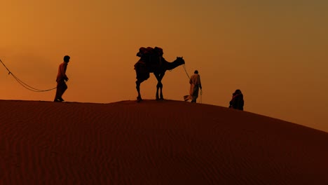 Cameleers,-camel-Drivers-at-sunset.-Thar-desert-on-sunset-Jaisalmer,-Rajasthan,-India.