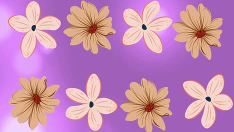 animation of pink flowers spinning over purple background