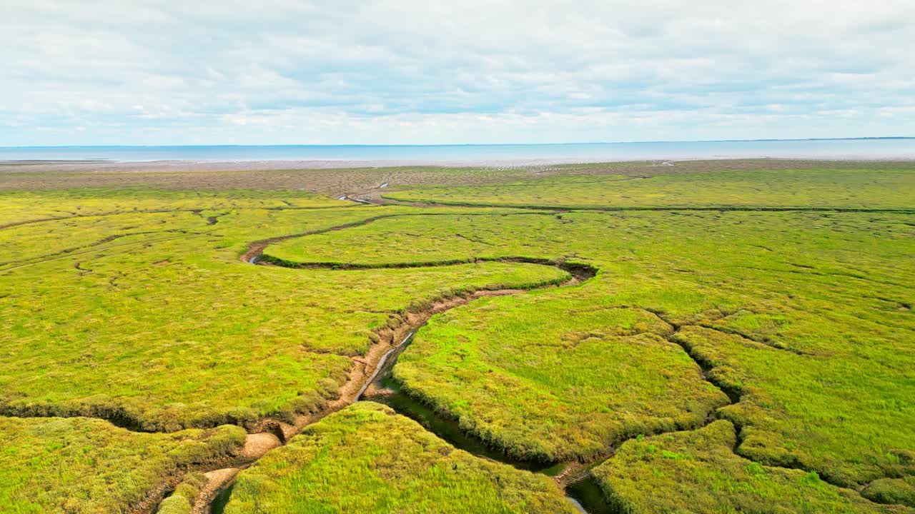 소금 습지 에서 균열 된 진 평면